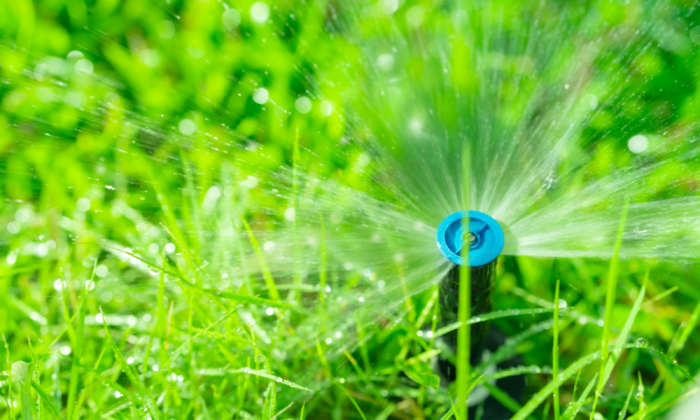 ung-dung-ong-ldpe-trong-he-thong-tuoi-phun-mua