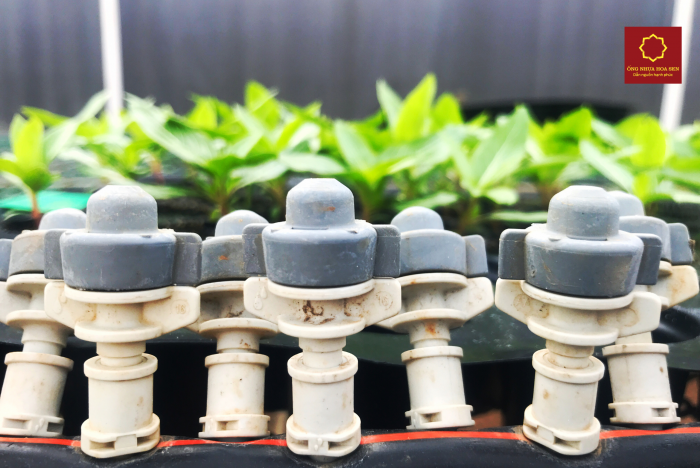 lap-dat-phu-kien-vao-he-thong-tuoi