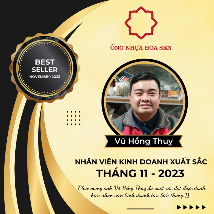 vu-hong-thuy