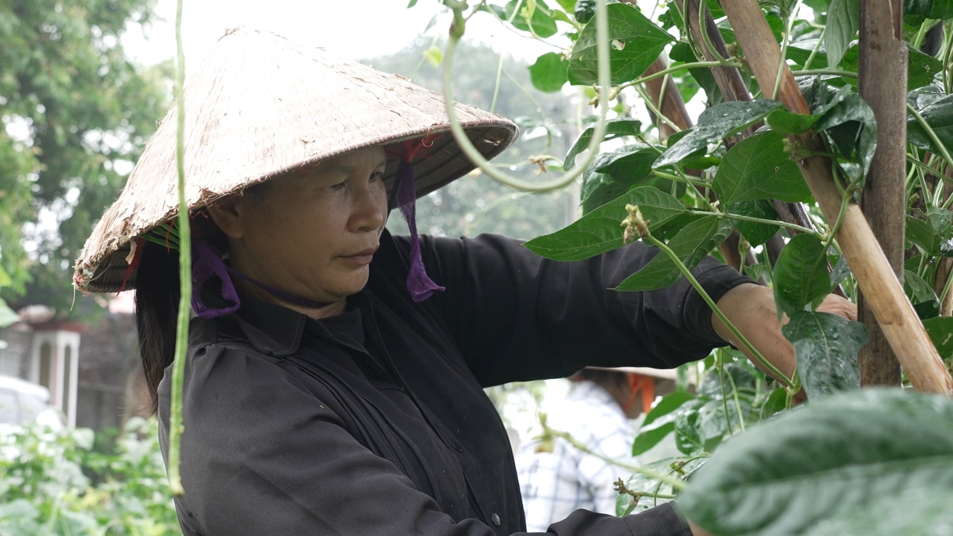 Dù mang nhiều căn bệnh trong người, chị Phượng vẫn không ngừng lao động để các con có cơm ăn, áo mặc và tiếp tục đến trường.