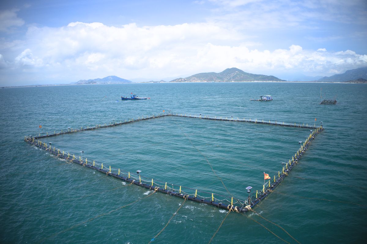 Ống nhựa HDPE Hoa Sen được ứng dụng trong việc nuôi trồng thủy hải sản ở các vùng biển