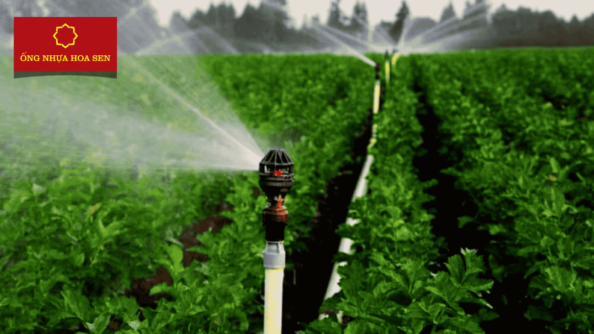 Ống tưới nông nghiệp chất lượng cao dùng cho vườn cây trồng