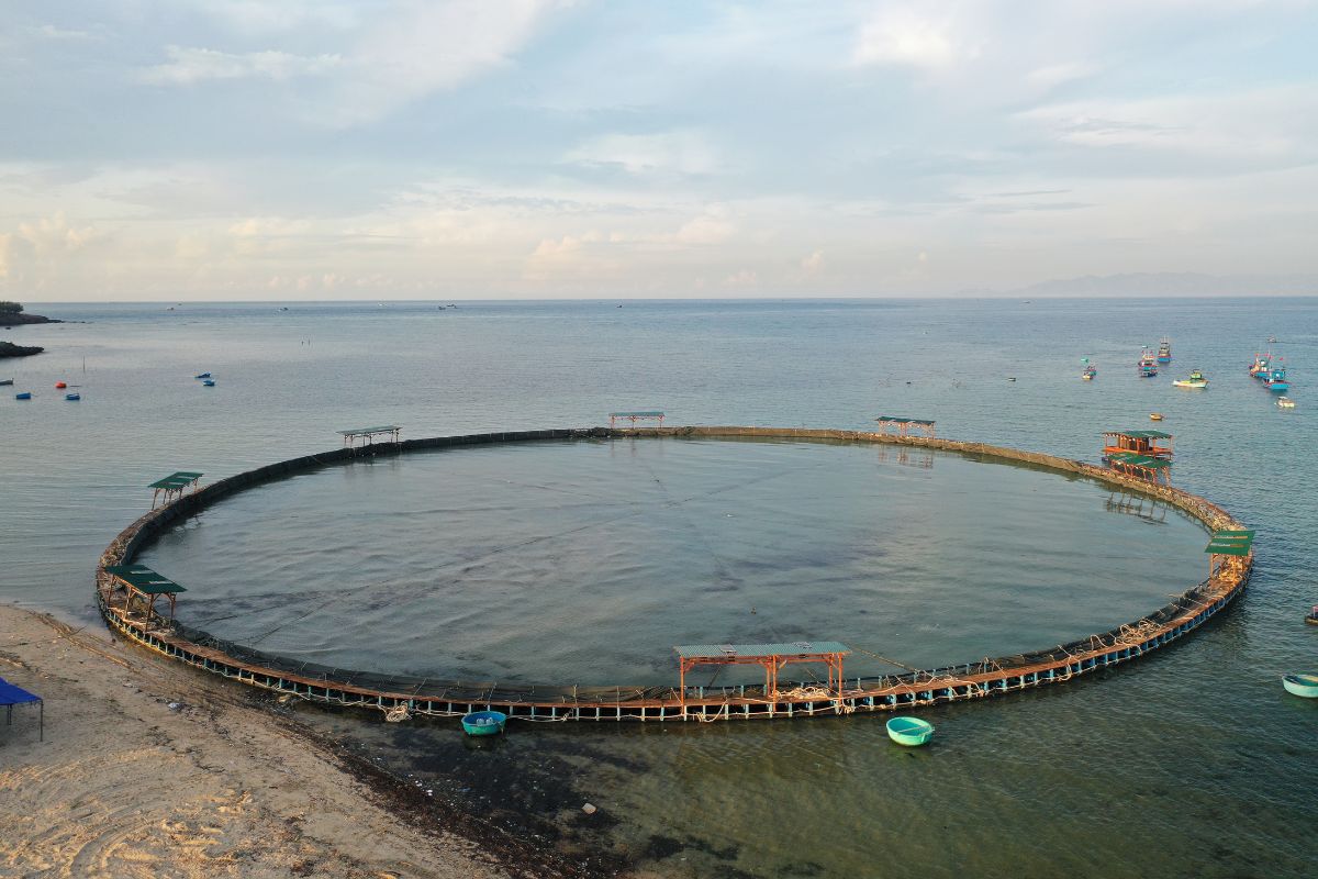 Ống nhựa HDPE được ứng dụng trong mô hình lồng bè nuôi cá nhờ vào tính năng chống chịu trong các môi trường khắc nghiệt, tuổi thọ cao